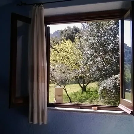 Welcomely - Porto Rafael Palau